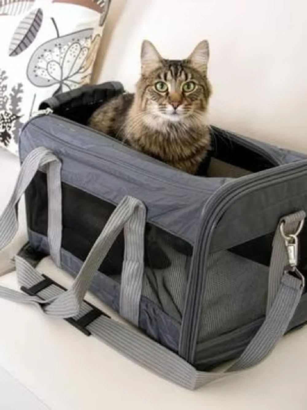 Sherpa Original Deluxe Airline-Approved Dog & Cat Carrier Bag,