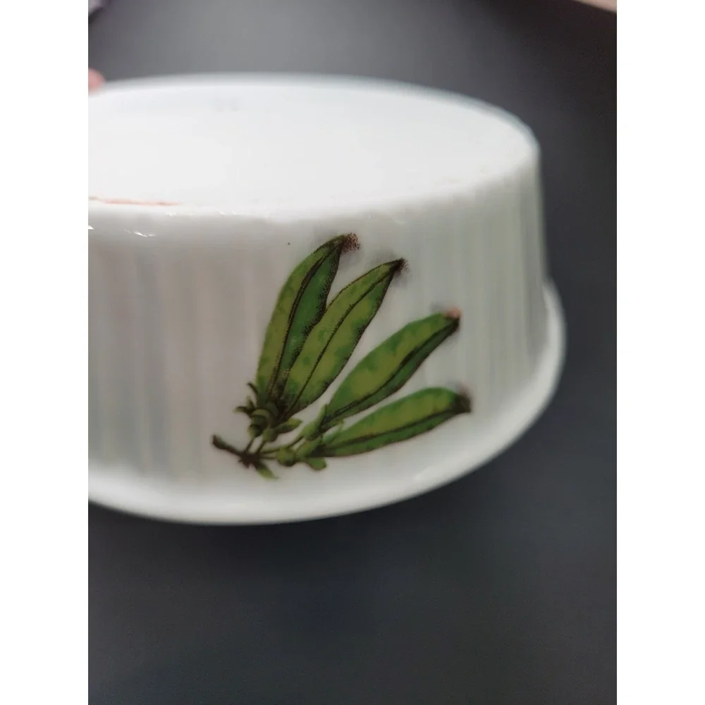 Oval Baking Dish French Porcelain 12