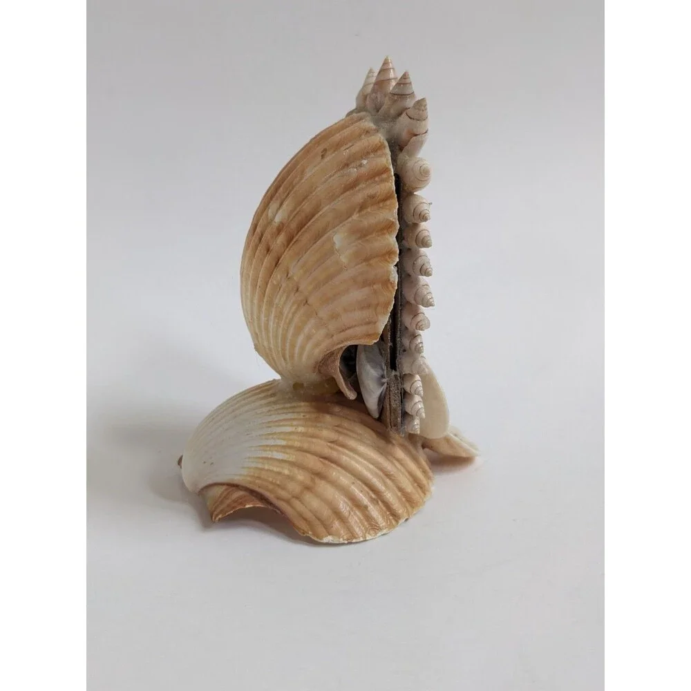 Shell Grotto‎ Crucifix Jesus Christ Seashell Religious Folk Art Coastal Decor