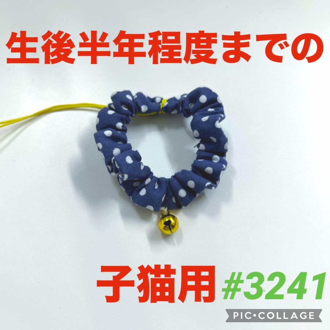 #3241 Kitten Choker Collar