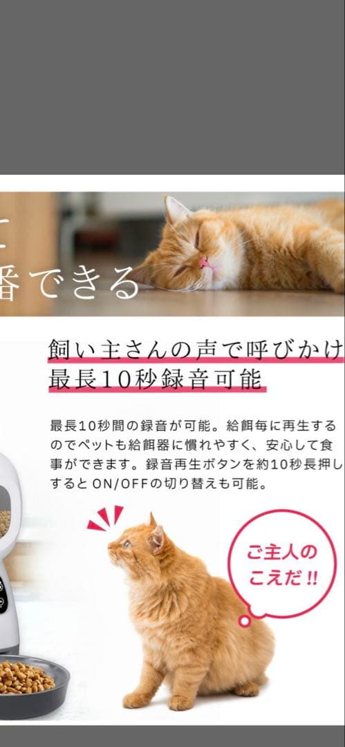 Automatic Pet Feeder for Dogs and Cats