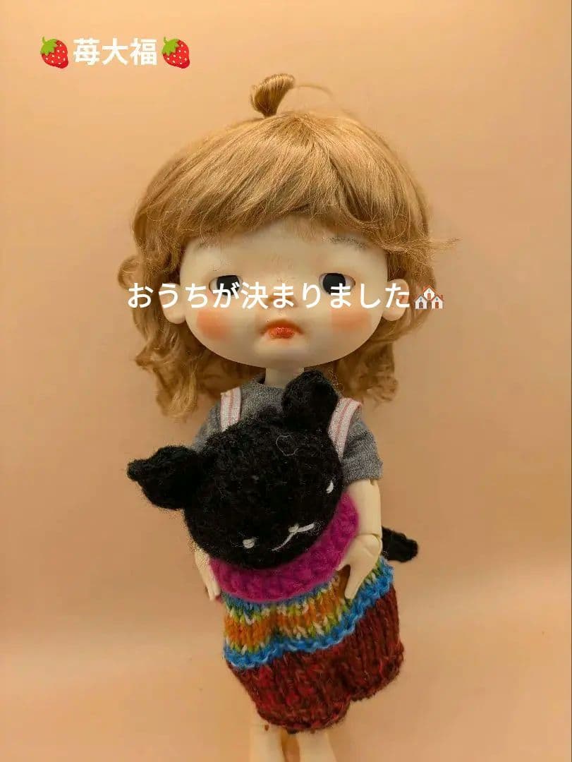 Honey Honey Doll Sunny-style ♡ Custom BJD Doll ♡