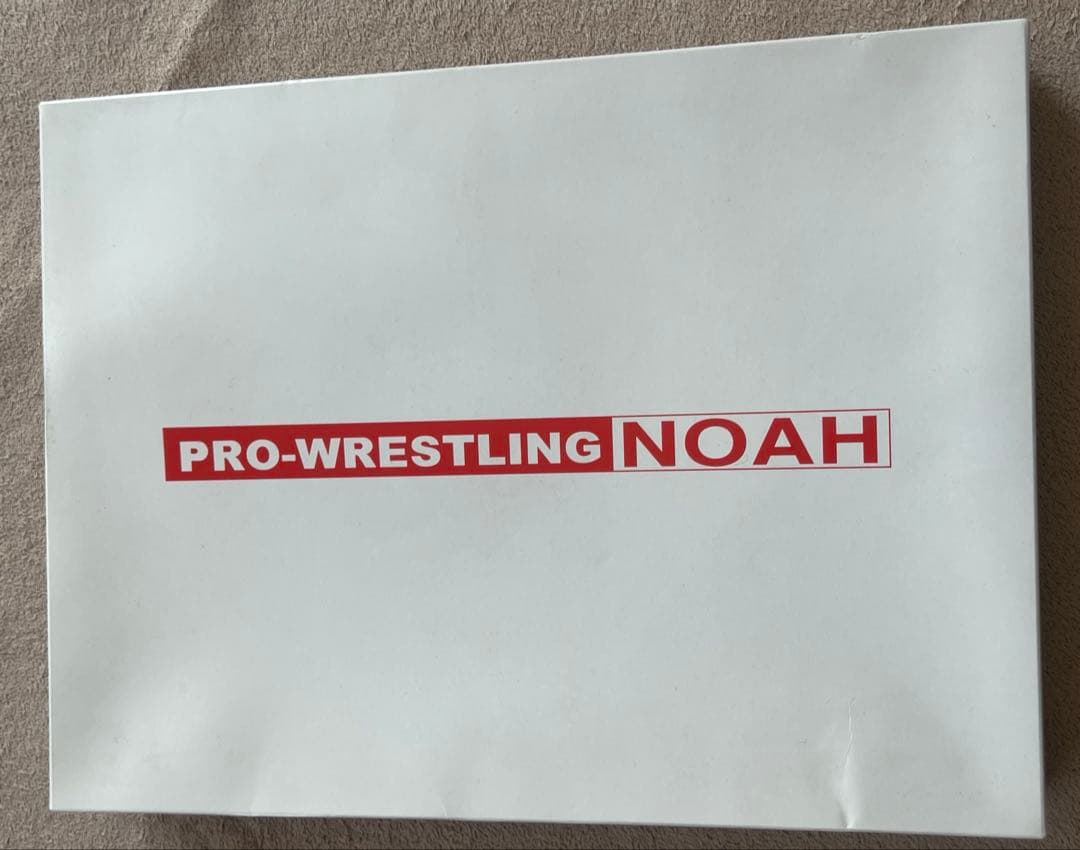 (Rare) Pro-Wrestling NOAH Old Logo Design Towel ☆ No Box!!