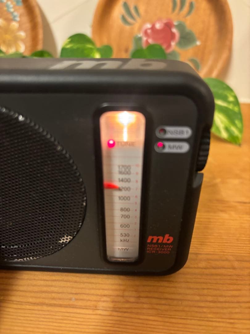 SONY MB AM/SW Radio ICR-3000 Mountain Radio